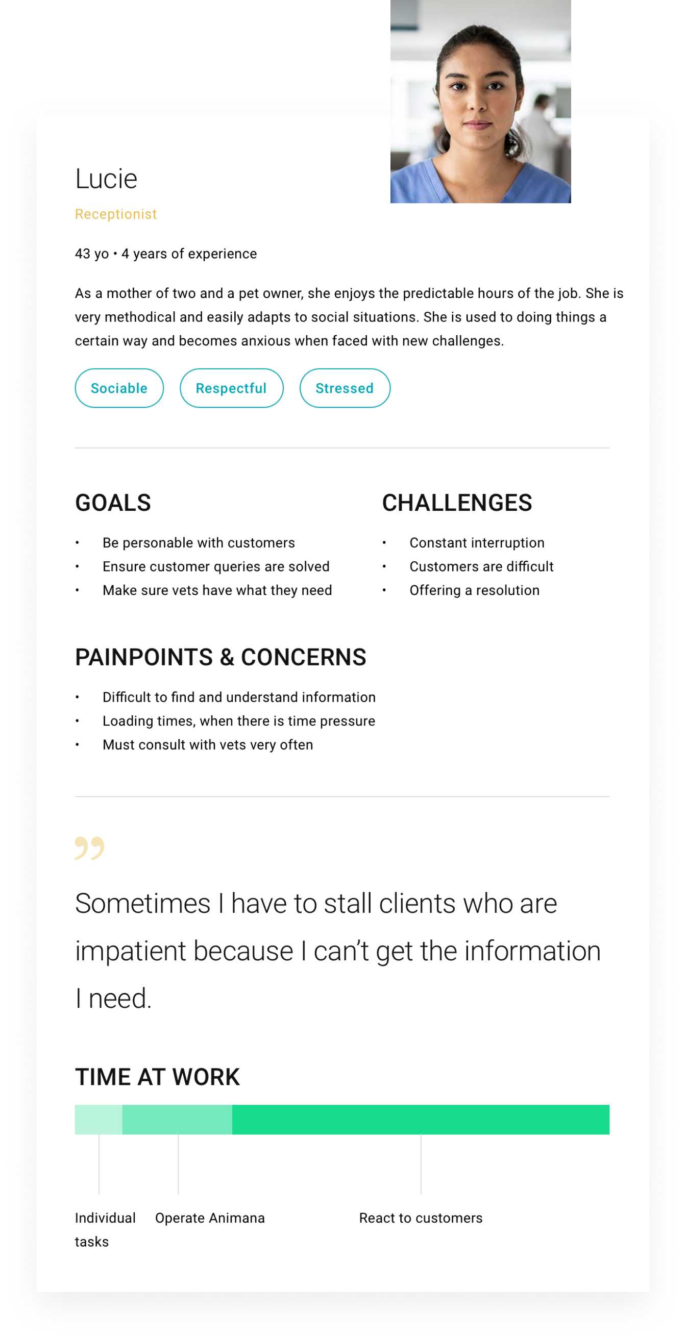 Käyttäjäpersoonakaavio tavoitteineen, haasteineen ja huolenaiheineen